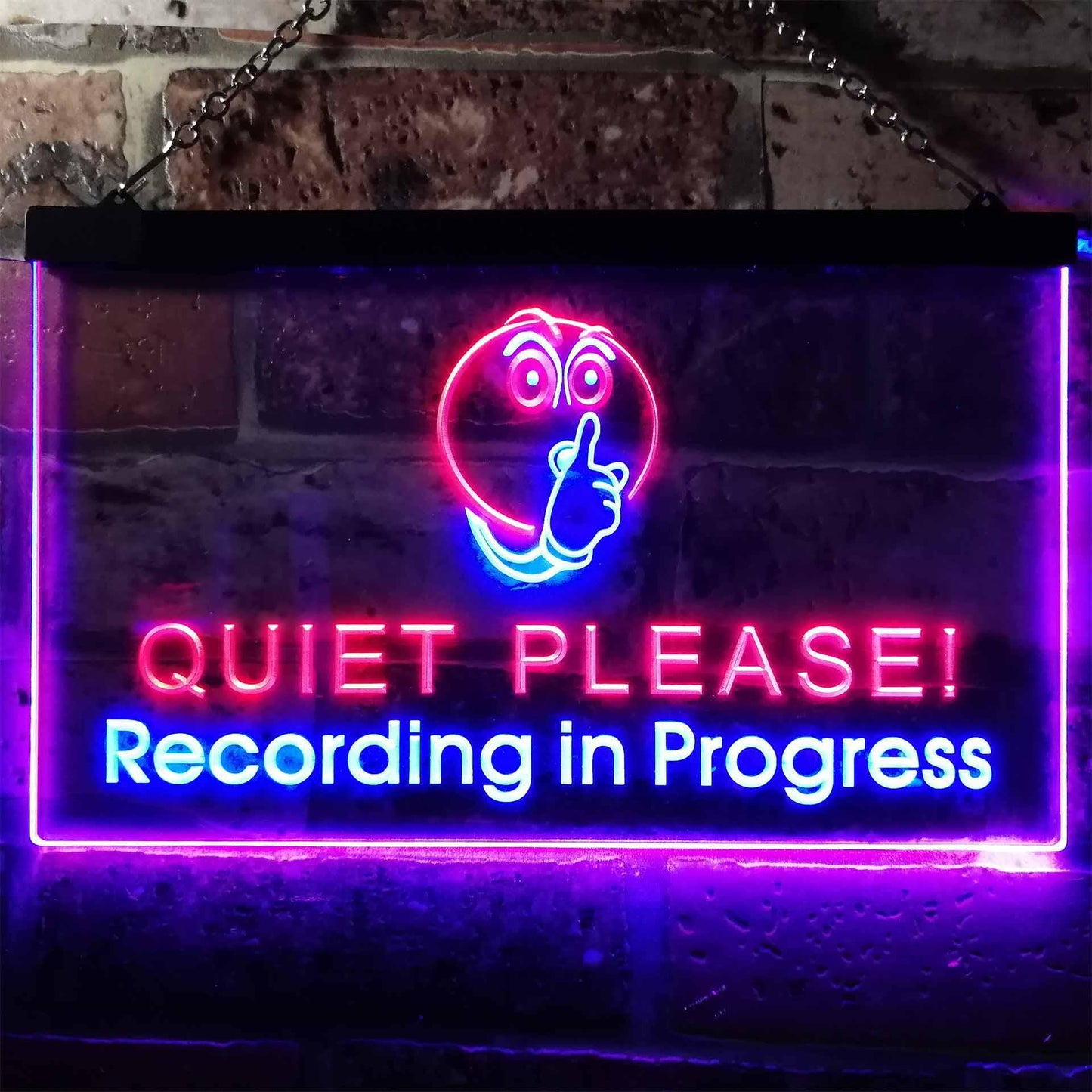 Recording in Progress Quiet Please On Air Studio Dual-color LED Neon Sign st6-m0096