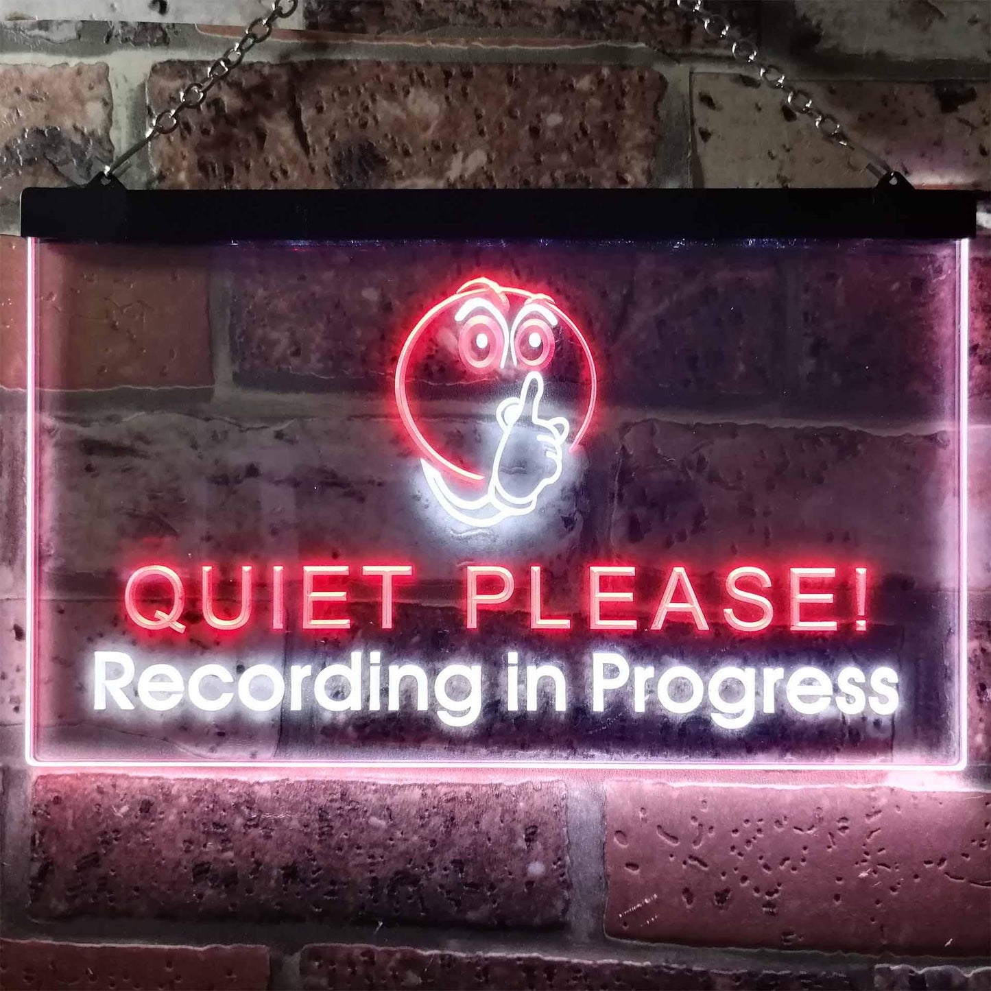 Recording in Progress Quiet Please On Air Studio Dual-color LED Neon Sign st6-m0096