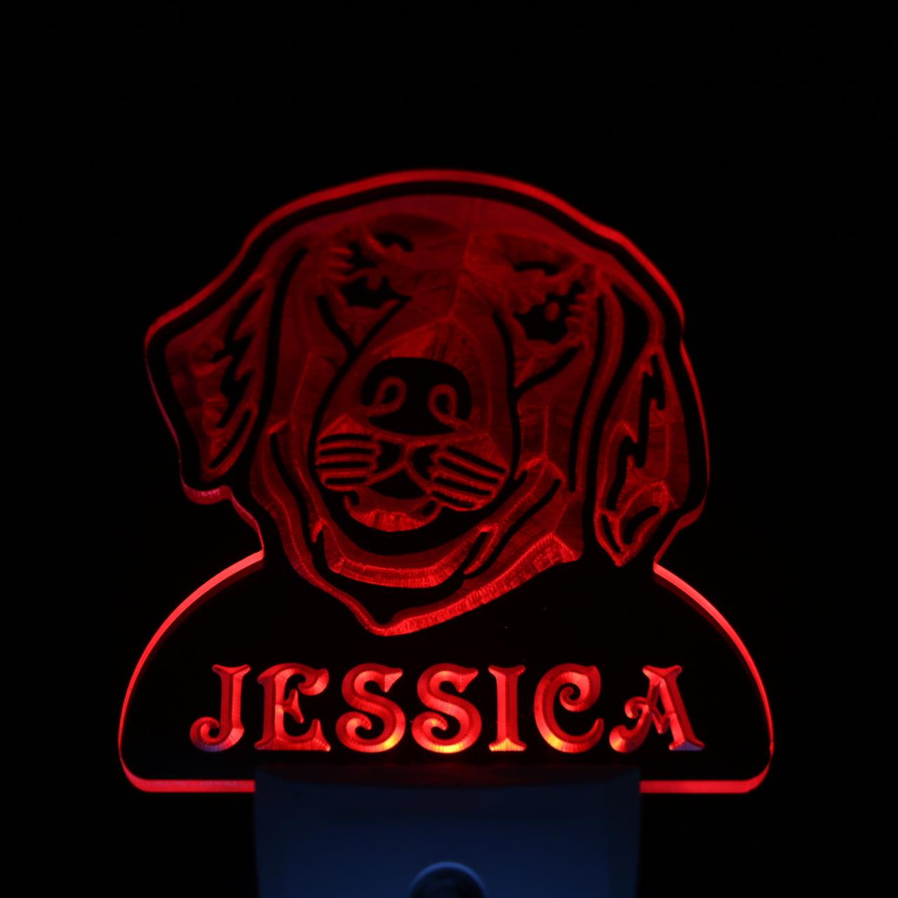 Golden Retriever Personalized Night Light Day/Night Sensor LED Sign ws1069-tm