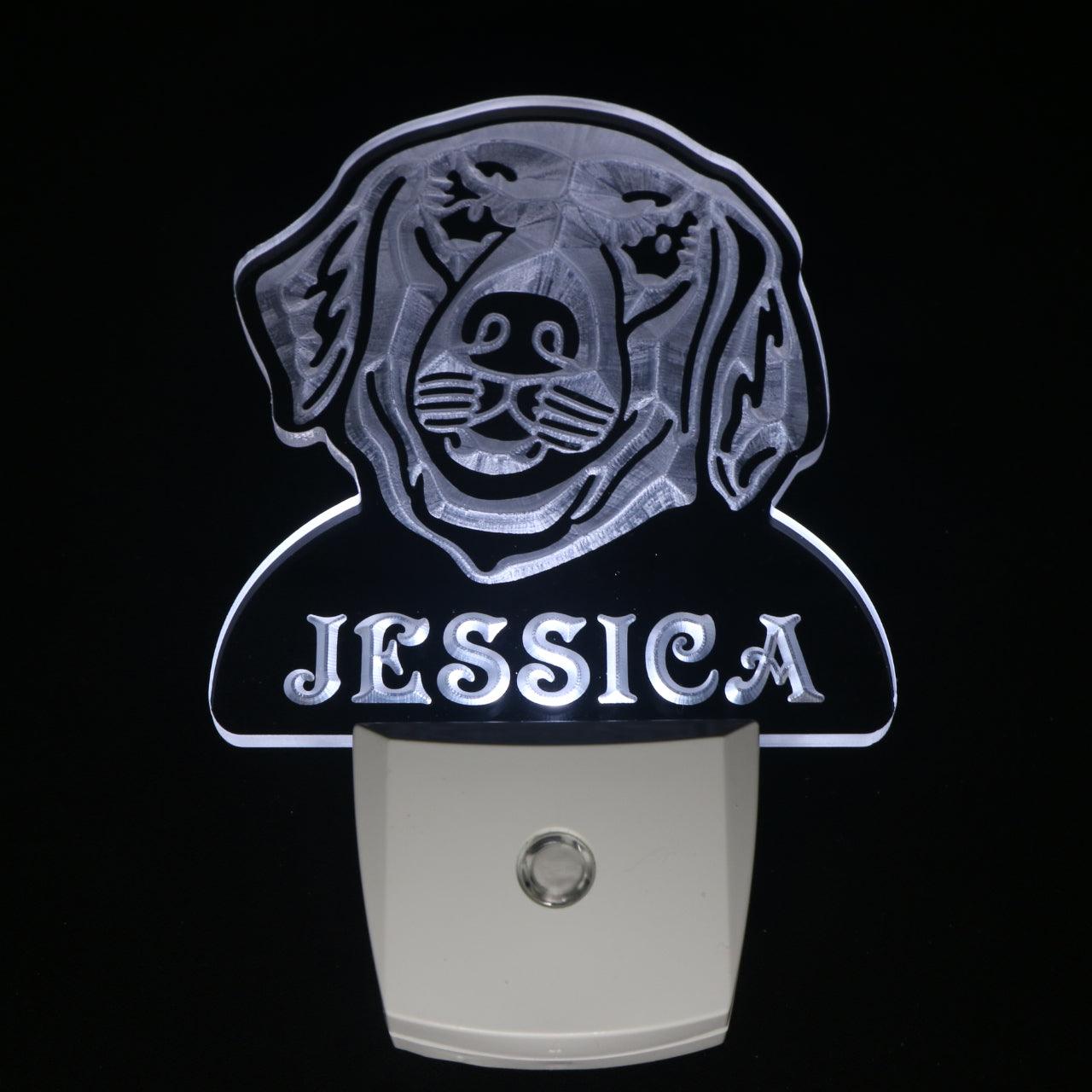 Golden Retriever Personalized Night Light Day/Night Sensor LED Sign ws1069-tm