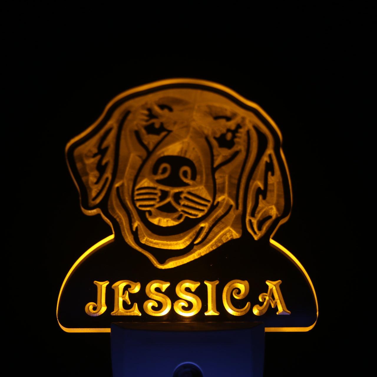 Golden Retriever Personalized Night Light Day/Night Sensor LED Sign ws1069-tm