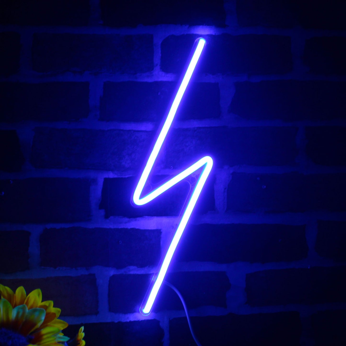 Lighting bolt Ultra-Bright LED Neon Sign fnu0001