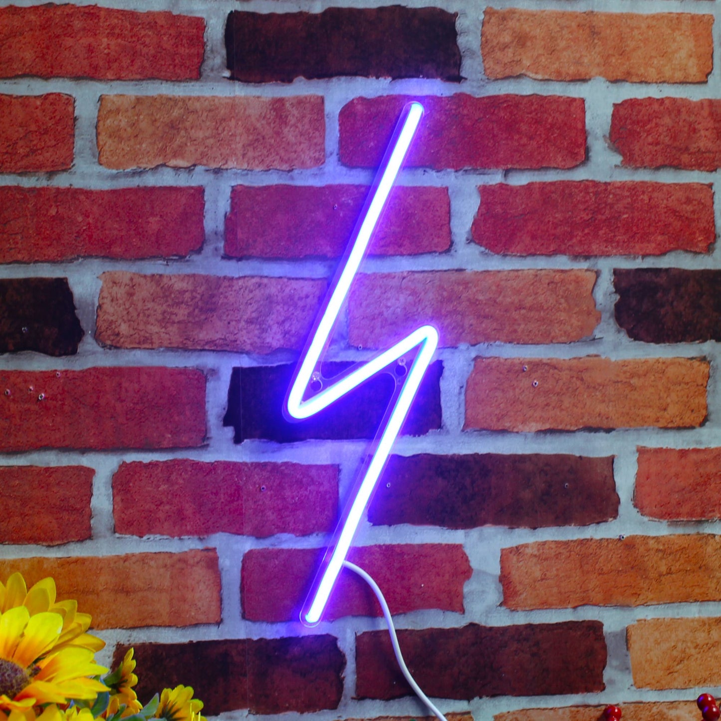 Lighting bolt Ultra-Bright LED Neon Sign fnu0001