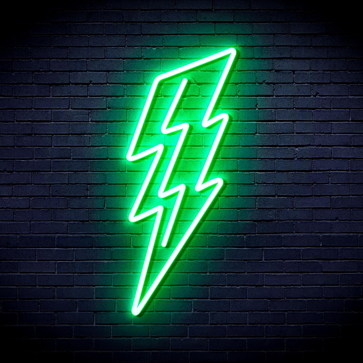 Lighting bolt Ultra-Bright LED Neon Sign fnu0206