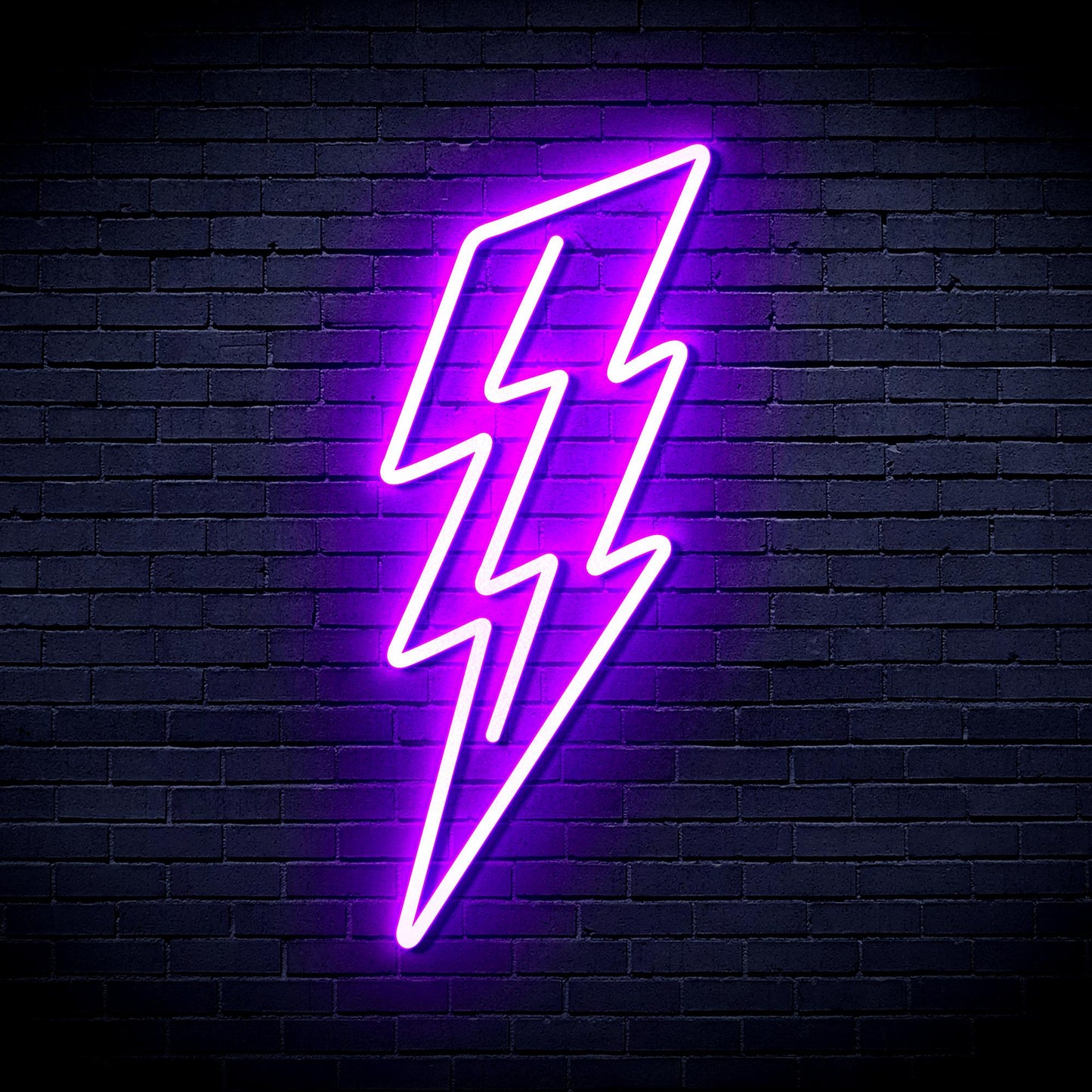 Lighting bolt Ultra-Bright LED Neon Sign fnu0206