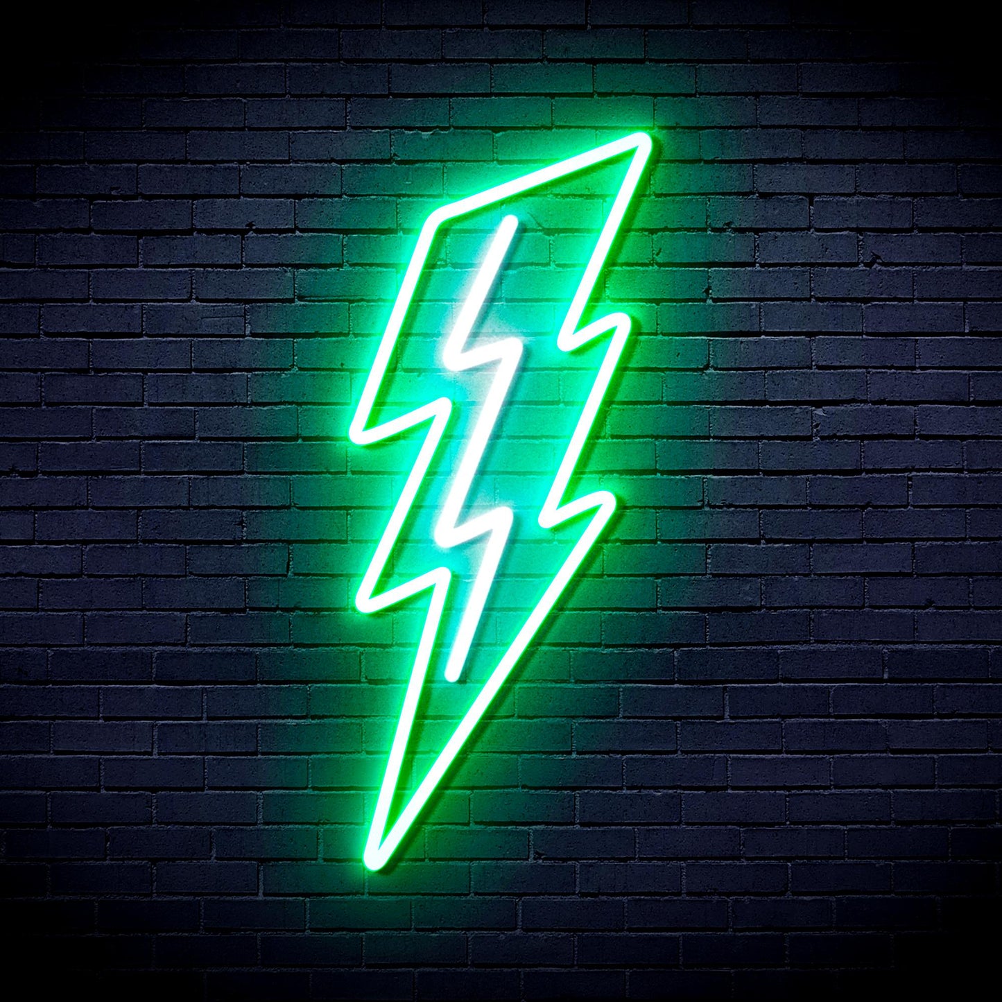 Lighting bolt Ultra-Bright LED Neon Sign fnu0206