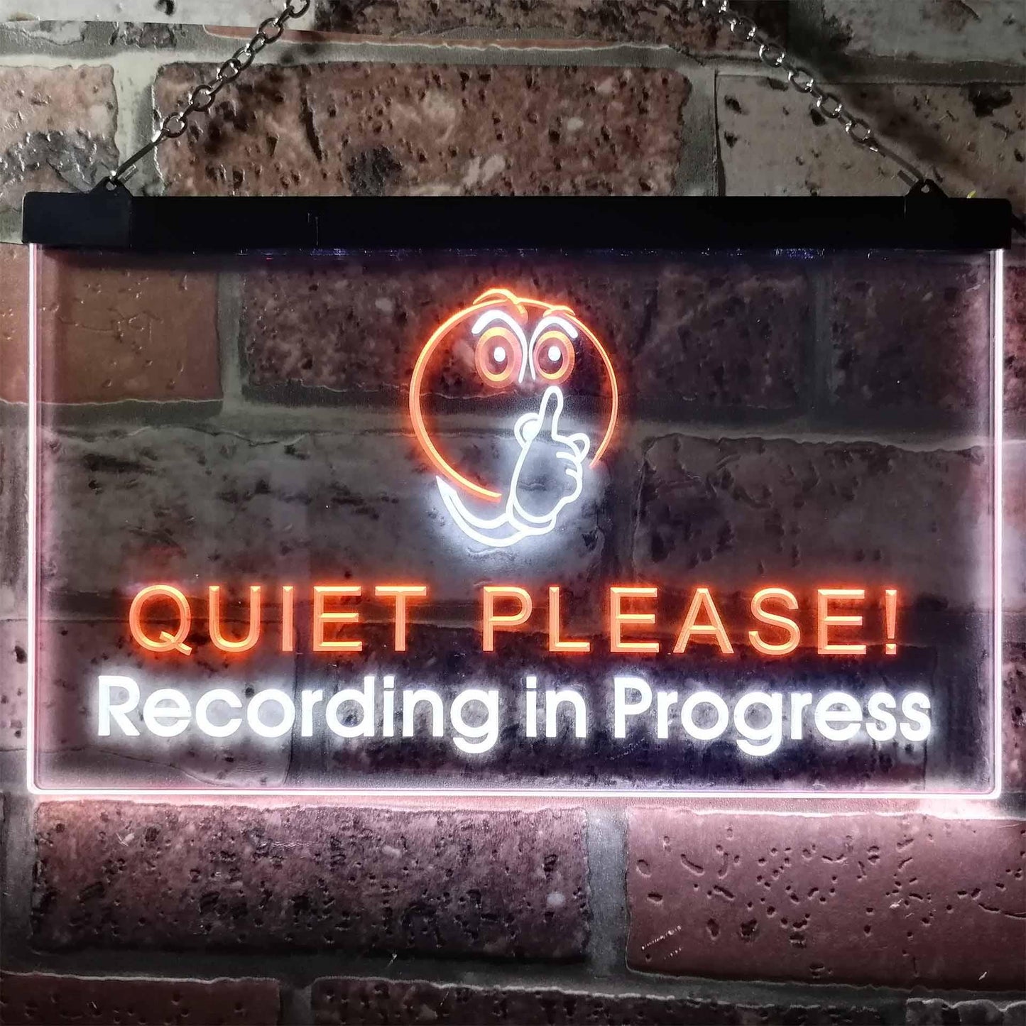 Recording in Progress Quiet Please On Air Studio Dual-color LED Neon Sign st6-m0096