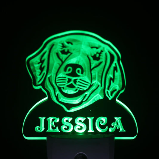 Golden Retriever Personalized Night Light Day/Night Sensor LED Sign ws1069-tm
